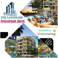 brochure brochure